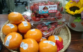 圖 5 　吉園圃安全蔬果黏貼式標章導入臺灣農產品生產追溯 
