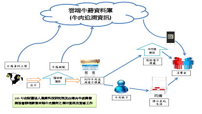 圖 4 　牛肉生產追溯作業流程 