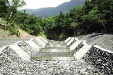 圖 6 扇平溪一號橋上游復建完工狀況( 2011.02 )植生回復狀況( 2014.07 ) 圖 6 扇平溪一號橋上游復建完工狀況( 2011.02 )植生回復狀況( 2014.07 )