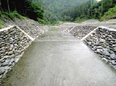 圖 7 　扇平溪一號橋下游復建完工狀況（ 2011.02 ）植生回復狀況（ 2014.07 ） 
