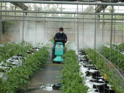 圖 3 　電動三輪自走式噴霧機全生長期均可使用─種植初期 