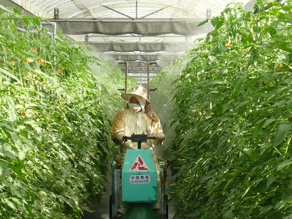 圖 4 　電動三輪自走式噴霧機於設施內噴霧情形 