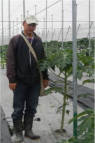 接種叢枝菌根菌之木瓜組培苗定植田間 65 天後苗高生長比較（圖左：對照組；圖右：接種 AMF 處理） 