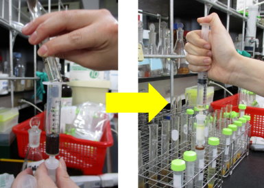 圖 2 快速萃取技術僅需將萃取液倒入套組中加壓過濾 圖 2 快速萃取技術僅需將萃取液倒入套組中加壓過濾