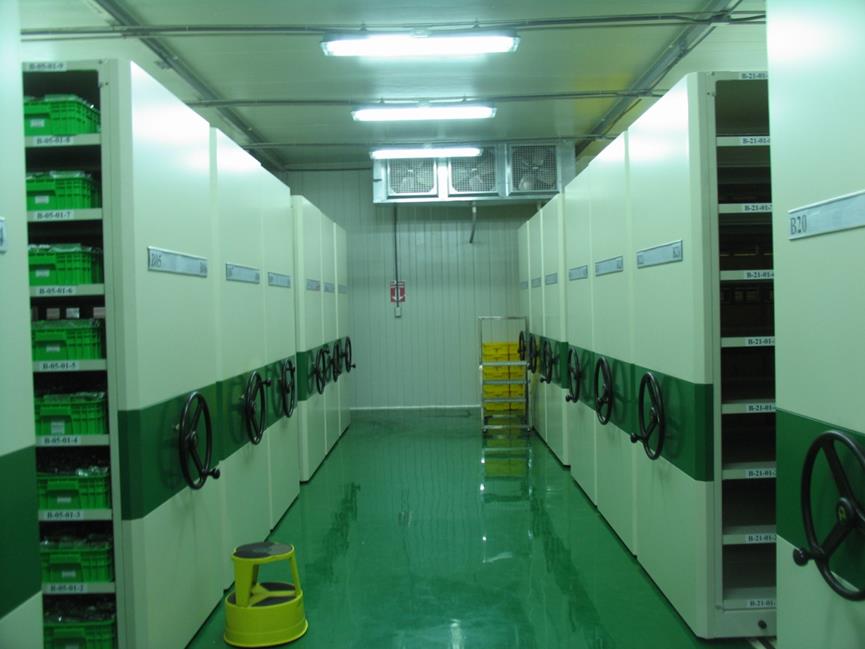 圖3　亞蔬種子基因庫，溫度低於攝氏負二十度，工作人員須兩人一組進行工作，一人在外留守，以策安全（自攝）