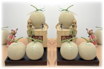 圖7　洋香瓜高雄2號品種發表會展示果實情形
