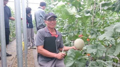 圖8　嘉義縣水上鄉賴堯坤試種情形