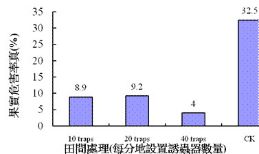 圖5. 於2010年3月起以性費洛蒙大量誘殺臺東番荔枝果園中粉介殼蟲之防治效果。
