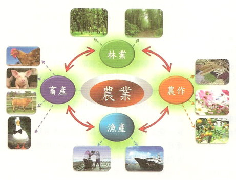  圖1. 農業包含農作、森林、水產、畜牧等四大產業。