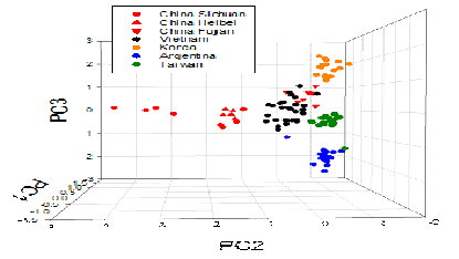 圖2. 以PCA分析能清楚區分臺灣與中國、越南、韓國大蒜之差異。