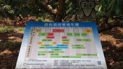 水土保持局臺中分局輔導於荔枝示範園區內，除可供農民學習栽培管理及病蟲害防治技術的在地專屬場域外，也結合社區產業文化，發揮跨域多元加值服務。