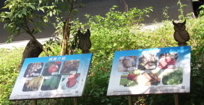 水土保持局臺中分局輔導於荔枝示範園區內，除可供農民學習栽培管理及病蟲害防治技術的在地專屬場域外，也結合社區產業文化，發揮跨域多元加值服務。