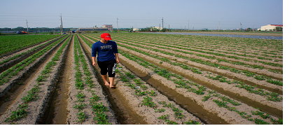 張建豪著重田間管理，期望能提高產量與提升作物品質。