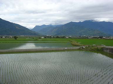 圖3　綠油油稻香園區與中央山脈