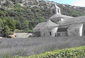 法國普羅旺斯聖儂克修道院薰衣草