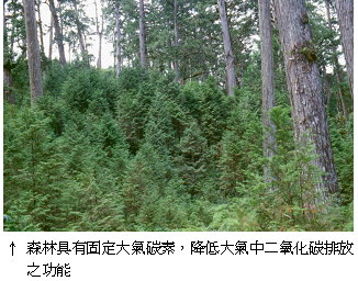 森林具有固定大氣碳素，降低大氣中二氧化碳排放之功能