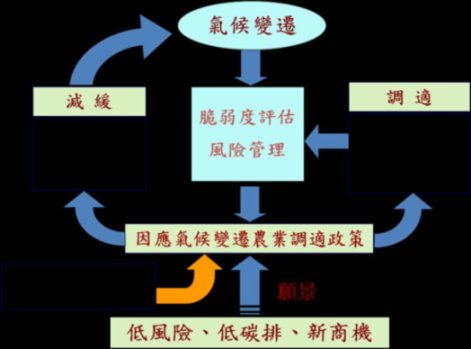 圖1 我國因應氣候變遷農業調適政策架構