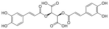 B. Cichoric acid 菊苣酸 