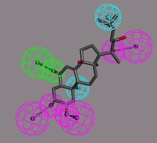 圖 2 蛻皮激素藥效團模型。此圖利用 Accelrys Discovery Studio 藥物設計軟體之藥效團工具（ pharmacophore tool ）建構一個可能的蛻皮激素藥效團模型，圖中青色球體代表疏水性團，粉紅色球體代表氫鍵的提供者，綠色球則代表氫鍵的接受者。其中之化合物為一個符合此藥效團模型的分子 ponasterone A 。 
