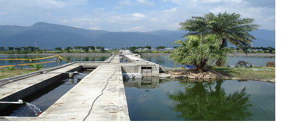 海水供水系統讓養殖業逐漸脫離對地下水的依賴 海水供水系統讓養殖業逐漸脫離對地下水的依賴