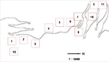 圖 1 　 南投林區管理處巒大事業區 74 、 75 、 76 林班柳杉（ Cryptomeria japonica ）人工林，人倫林道樣區 Plot 設置相對位置圖。其中包含 0% 疏伐之 Plot （ Plot3 、 6 、 10 及 12 ）、 25% 疏伐處理（ Plot1 、 4 、 7 及 11 ）和 50% 疏伐處理（ Plot2 、 5 、 8 及 9 ）