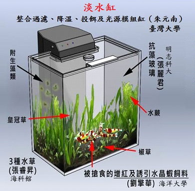 圖 3 　臺灣自行設計組裝並整合各項功能之淡水模組缸（漁業署提供） 