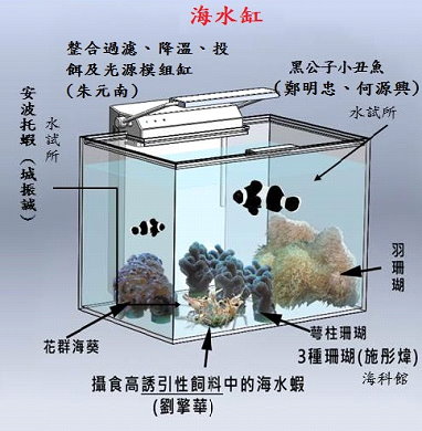 圖 4 　臺灣自行設計組裝並整合各項功能之海水模組缸（漁業署提供） 