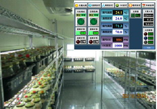 圖 7 　利用植物工場栽培北蟲草並進行溫度、濕度、光照與二氧化碳之環境控制（農試所提供） 